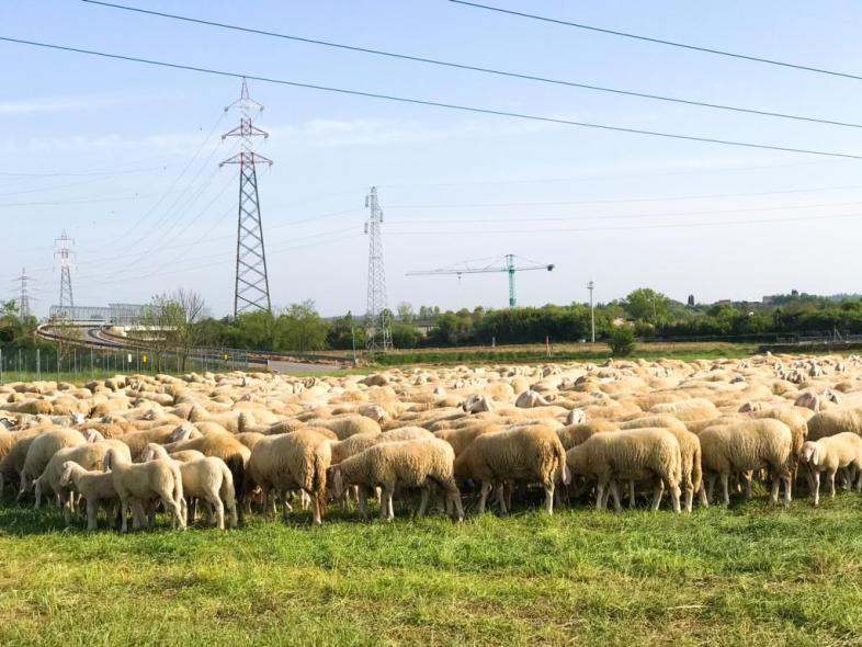 Главная — фото-517_4